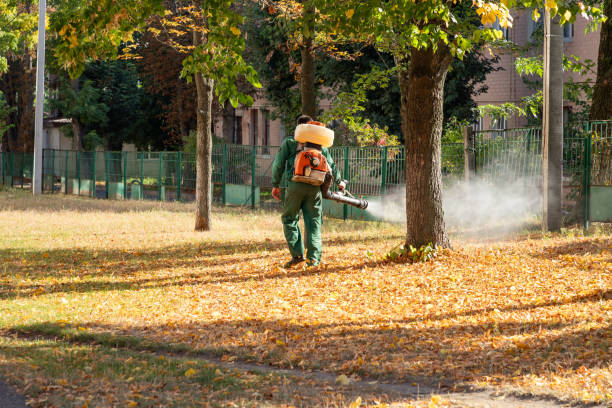 Best Pest Removal Services  in North Plainfield, NJ