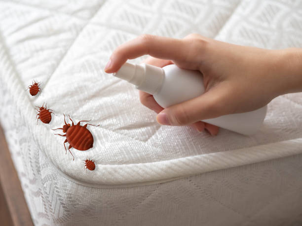 Best Emergency Pest Control  in North Plainfield, NJ